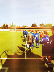 德国队如何在新赛制下争夺国际乒联混合团体世界杯冠军，德国队乒乓  第3张